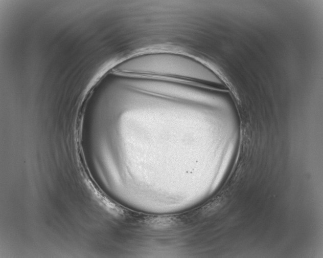 X0000080770998200701051257