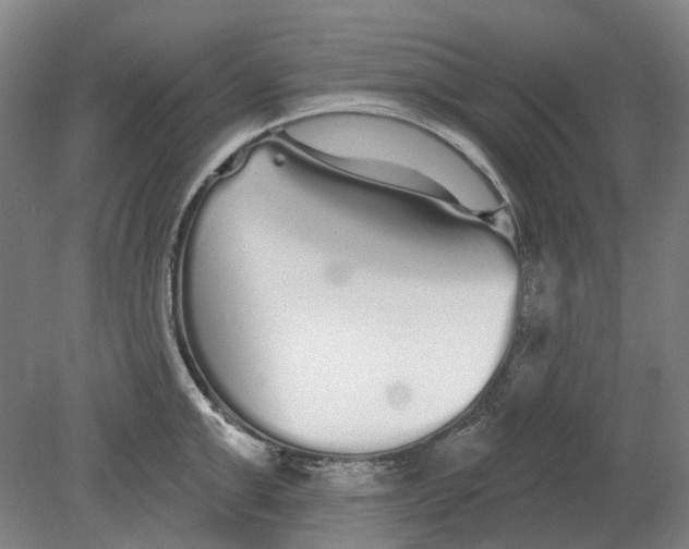 X0000080770999200701051257