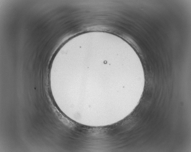 X0000080771000200701051257