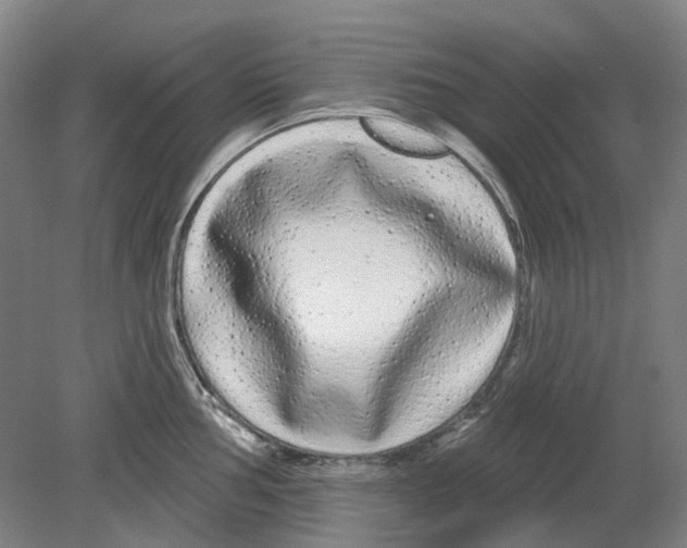 X0000080771002200701051257