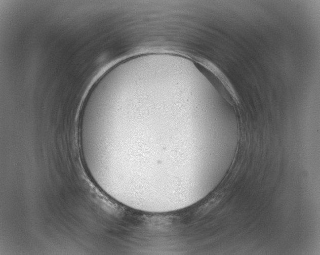 X0000080771004200701051257