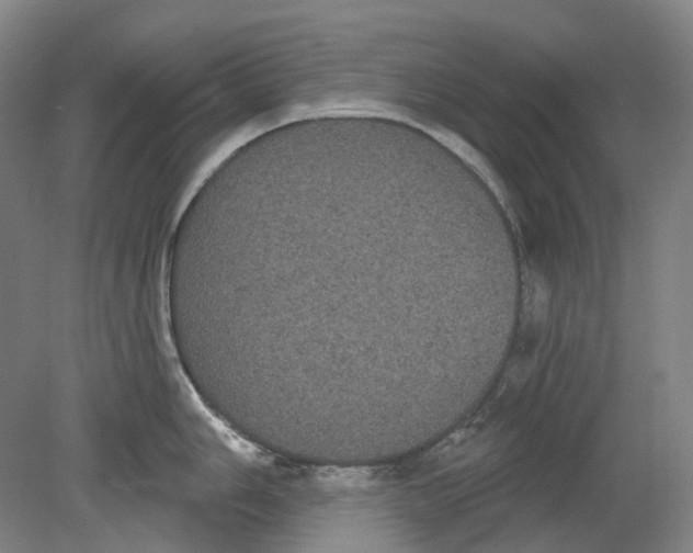 X0000080771006200701051257