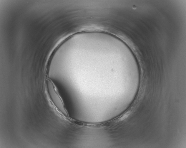 X0000080771008200701051257