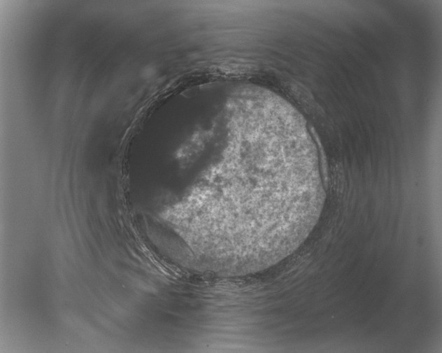 X0000080771009200701051256