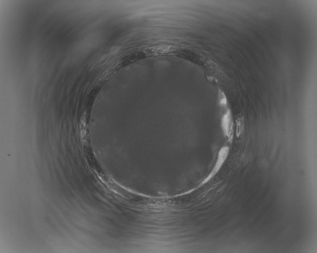 X0000080771011200701051256