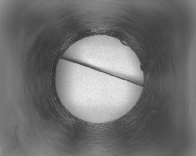 X0000080771012200701051256