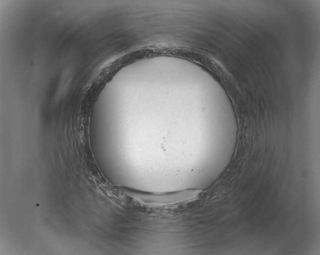 X0000080771016200701051256