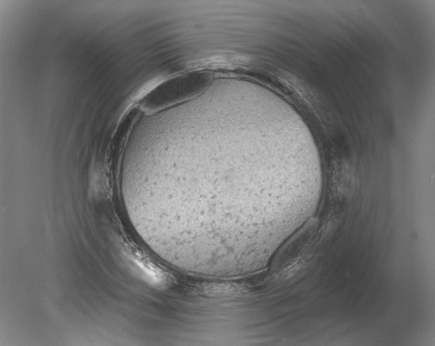 X0000080771018200701051256