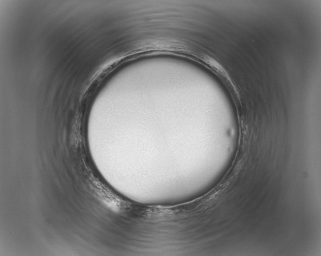 X0000080771019200701051256