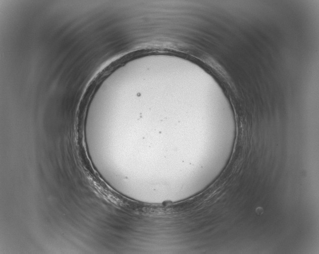 X0000080771020200701051256