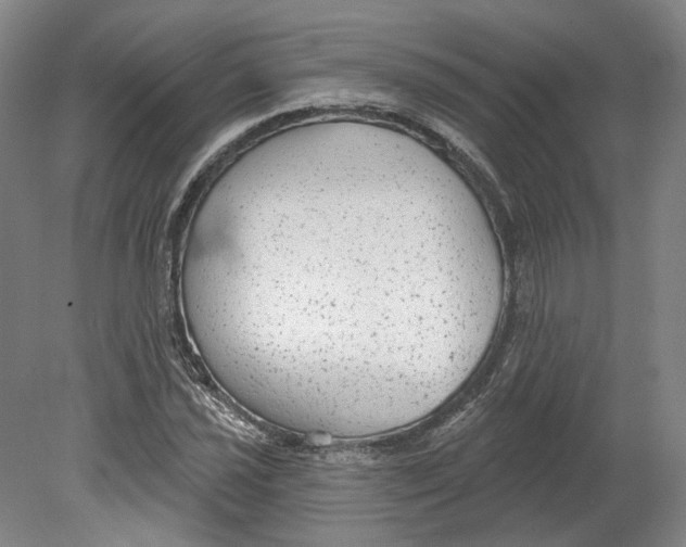 X0000080771021200701051256