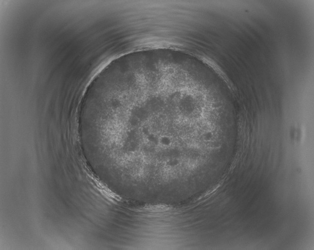 X0000080771023200701051256