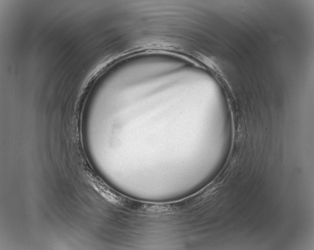 X0000080771027200701051256