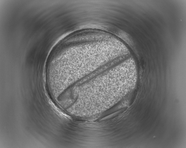 X0000080771028200701051256