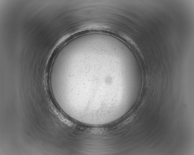 X0000080771029200701051256