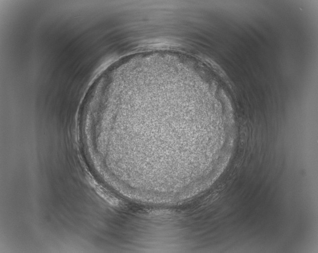 X0000080771031200701051256