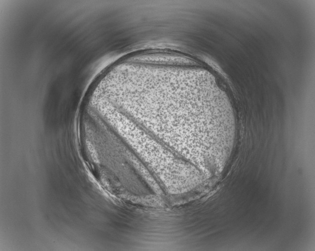 X0000080771032200701051256