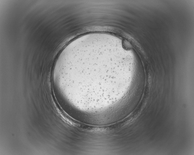 X0000080771033200701051256