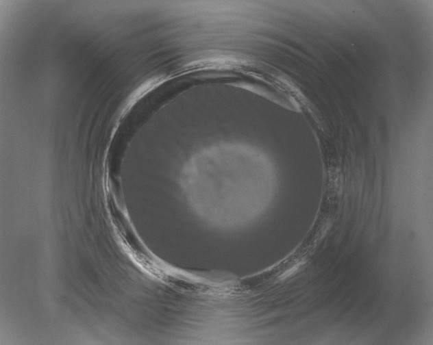 X0000080771034200701051256