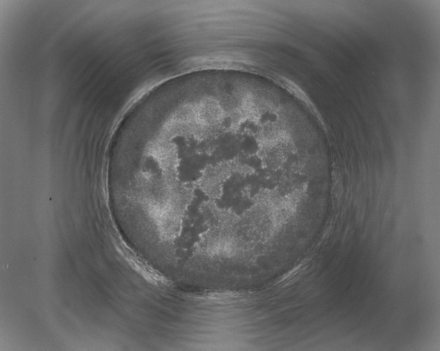 X0000080771035200701051256