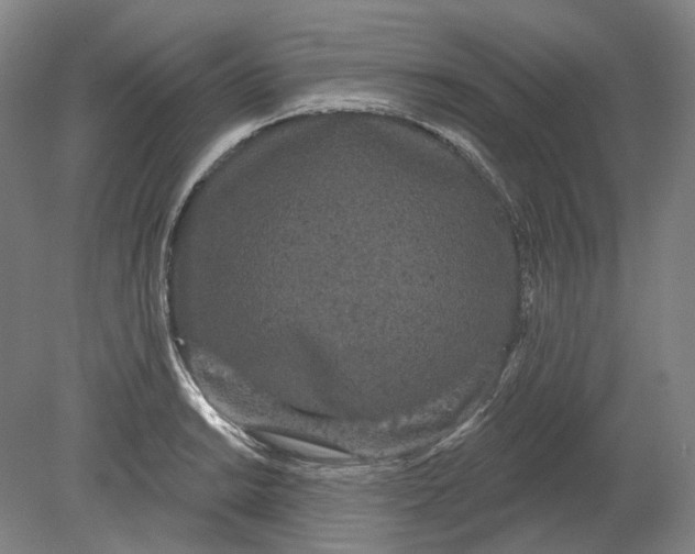 X0000080771038200701051257