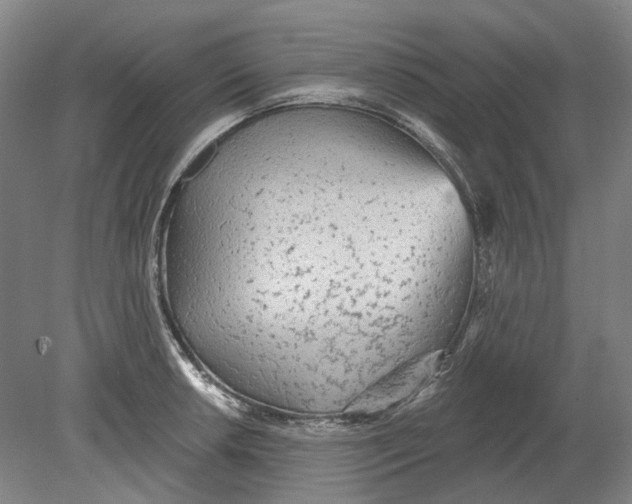 X0000080771042200701051257