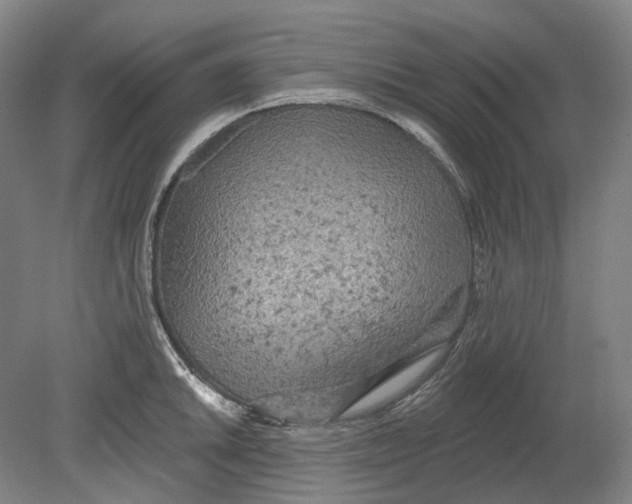 X0000080771046200701051257