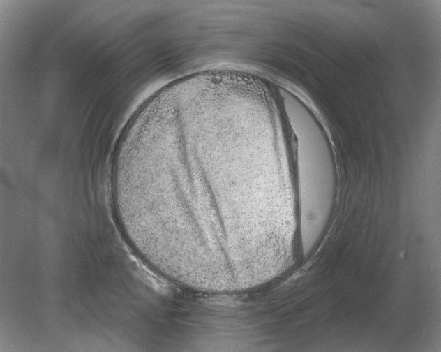 X0000080771048200701051257