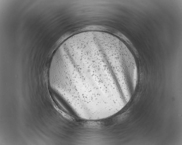 X0000080771049200701051257