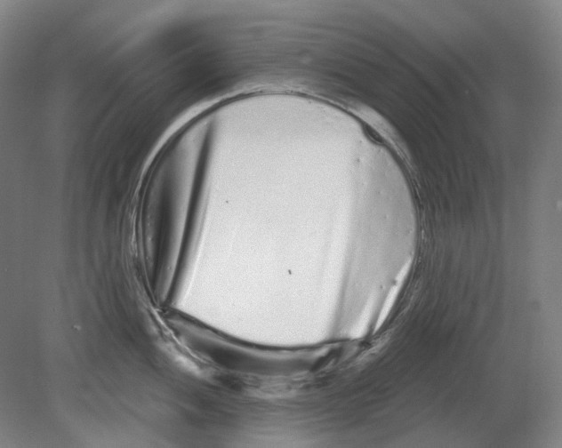 X0000080771052200701051257