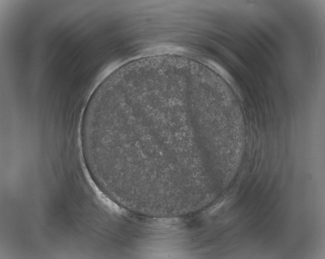 X0000080771055200701051257