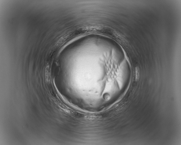 X0000080771059200701051256