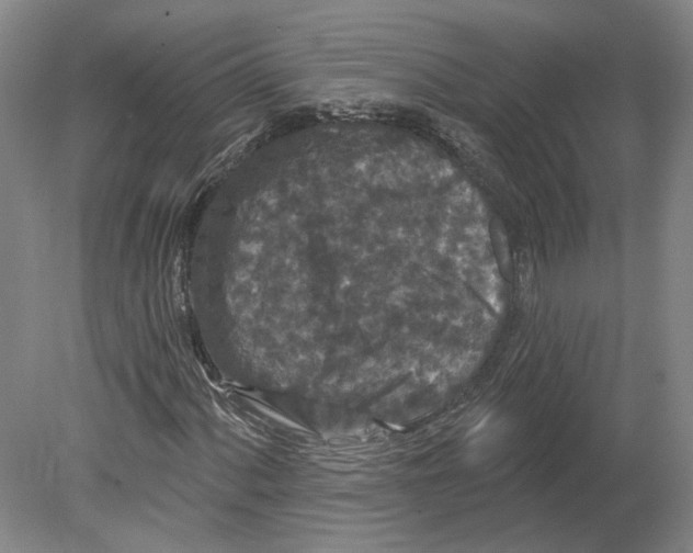 X0000080771060200701051256