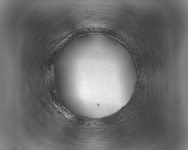 X0000080771061200701051256