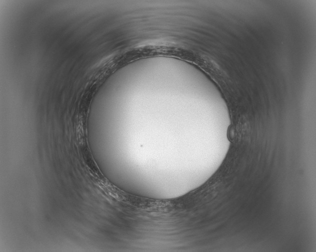 X0000080771062200701051256