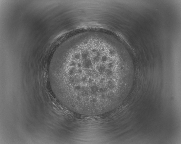 X0000080771063200701051256