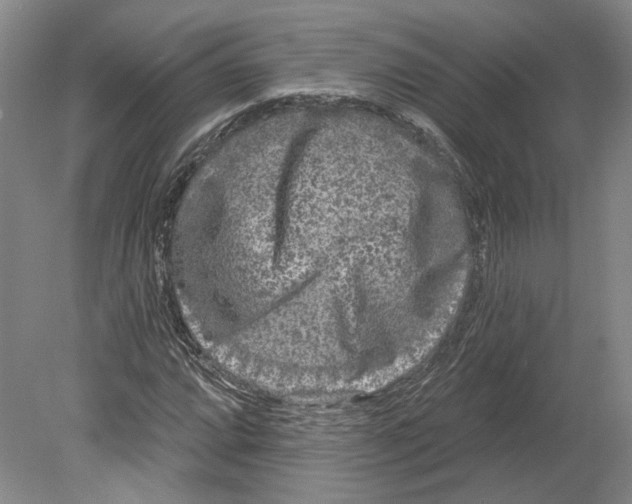 X0000080771064200701051256