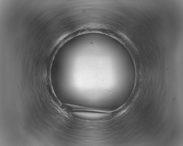 X0000080771065200701051256