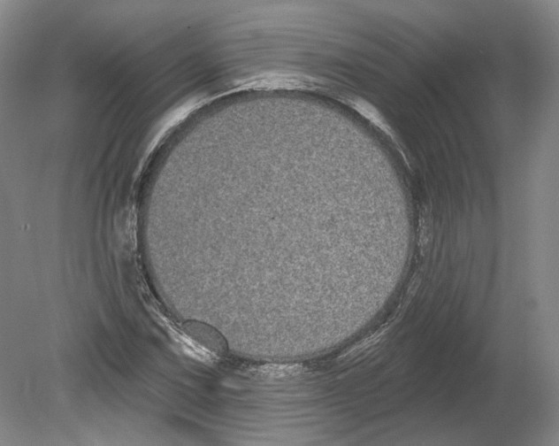 X0000080771067200701051256