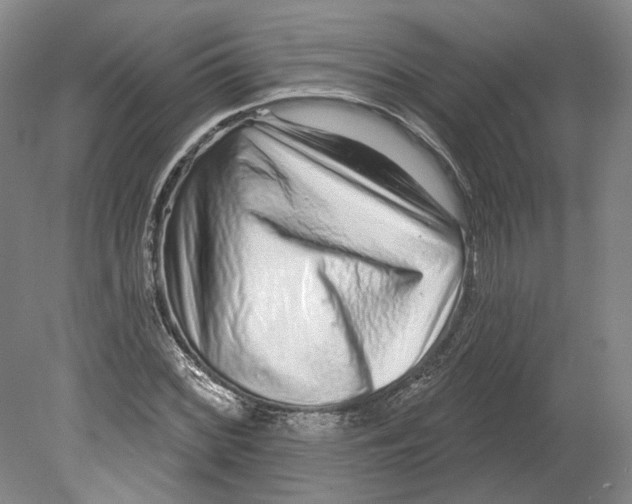 X0000080771068200701051256