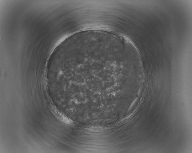 X0000080771071200701051256