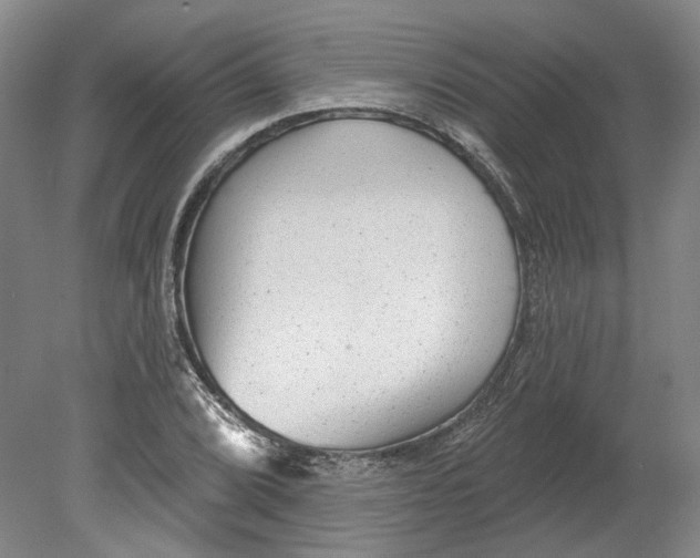 X0000080771072200701051256