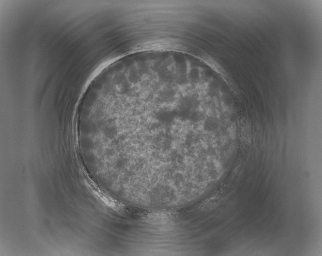 X0000080771078200701051256