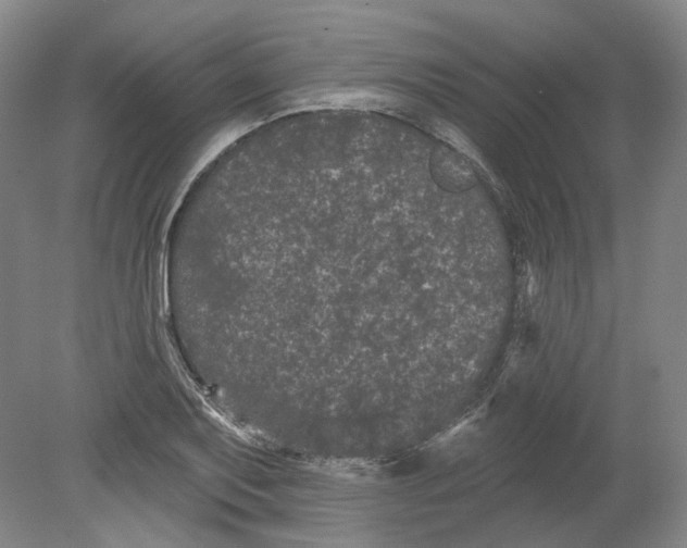 X0000080771079200701051256