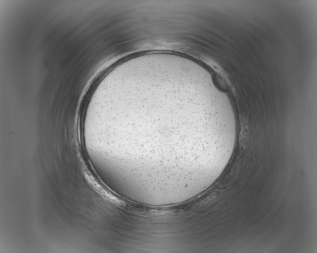 X0000080771080200701051256