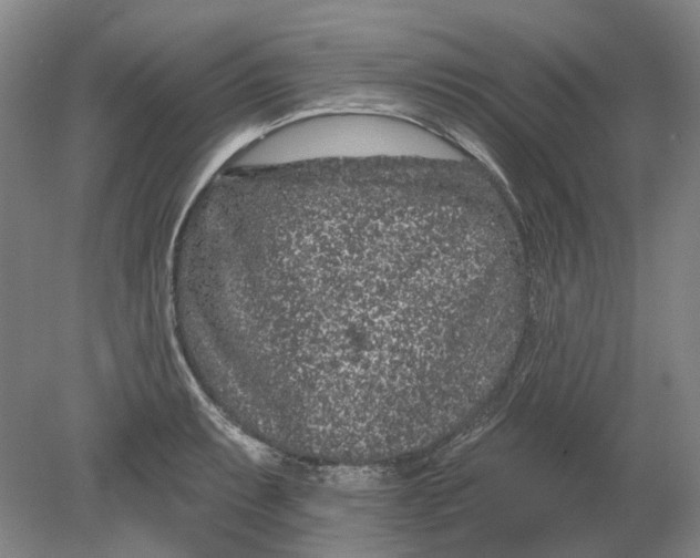 X0000080771087200701051255