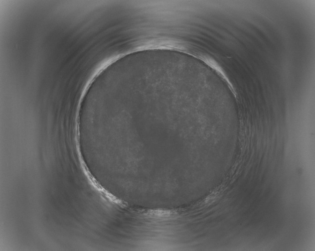 X0000080771088200701051255