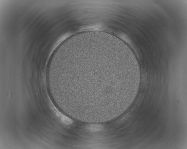 X0000080771090200701051255