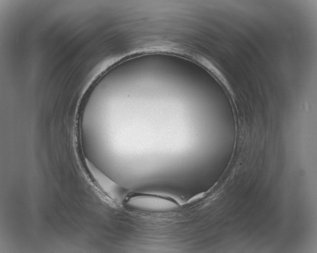 X0000080771093200701051255