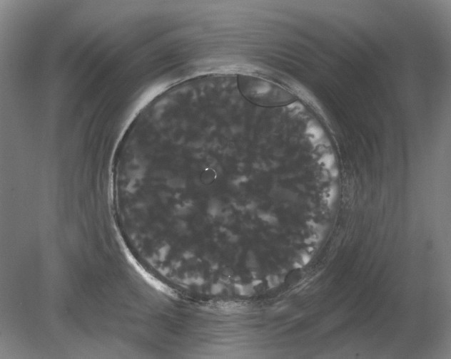 X0000080771095200701051255